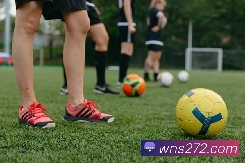App Interface Preview